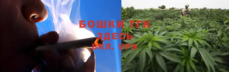 Марихуана SATIVA & INDICA  Железногорск 